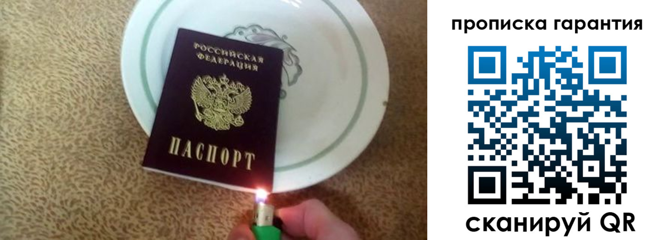 прописка гарантия в Ржеве